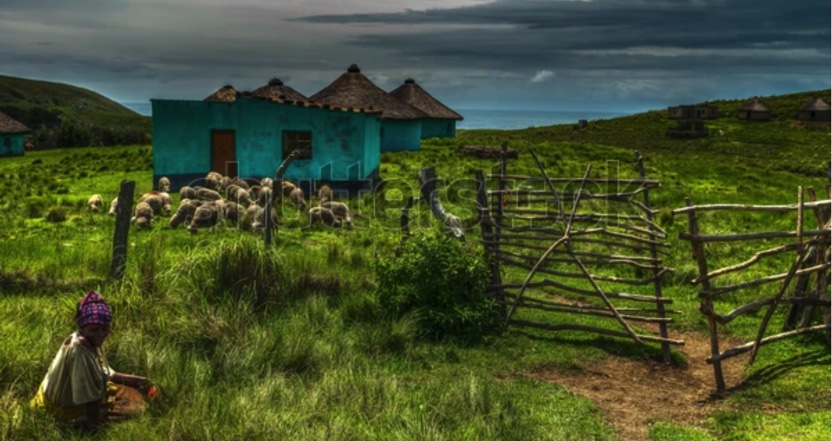 6E46DC12-6D8A-4FD5-B7A0-7030A2BE5D76