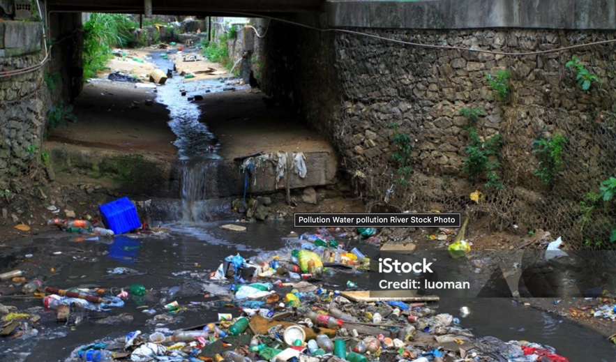 81A09786-9FC8-49C1-9D17-47C2BB54AB21