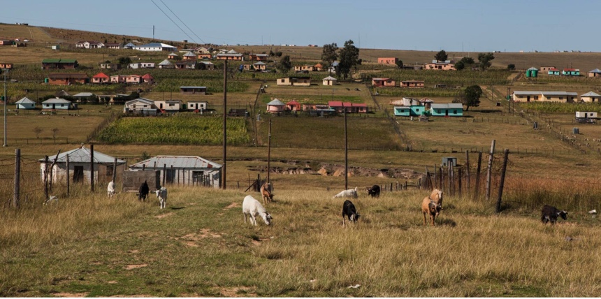 94B48207-02CD-486C-AEC8-4058A7DCE224